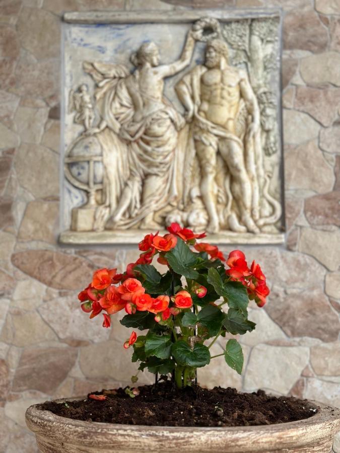 The Odyssey Holiday Home - Agios Ioannis, Pelion Agios Ioannis  ภายนอก รูปภาพ
